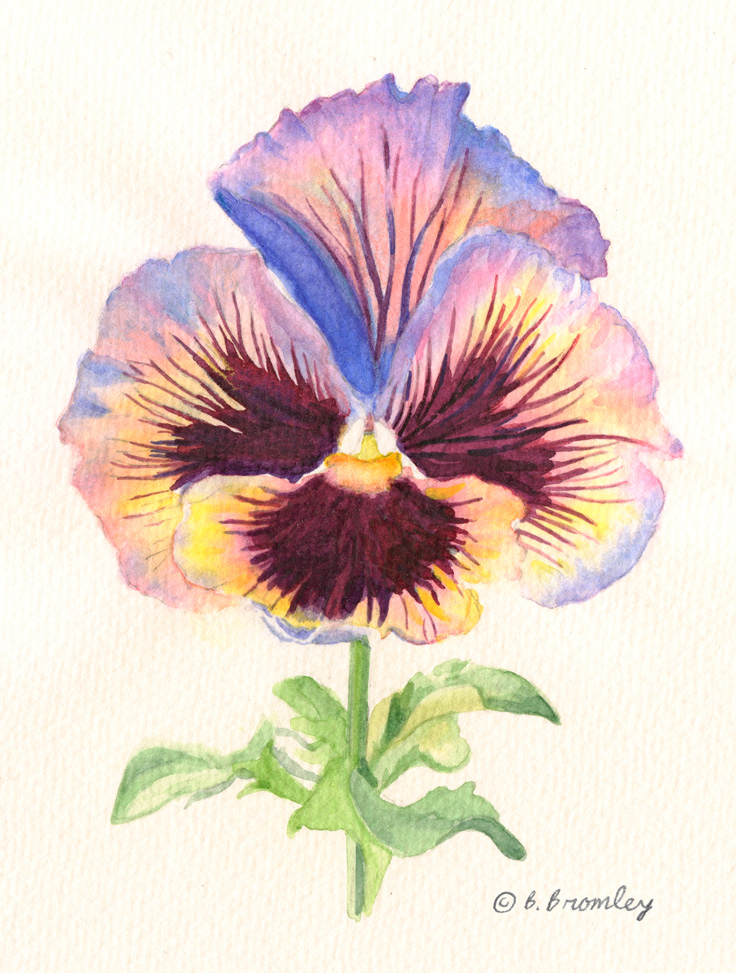 736x973 Mini Lesson Watercolor Pansy Artful Passages