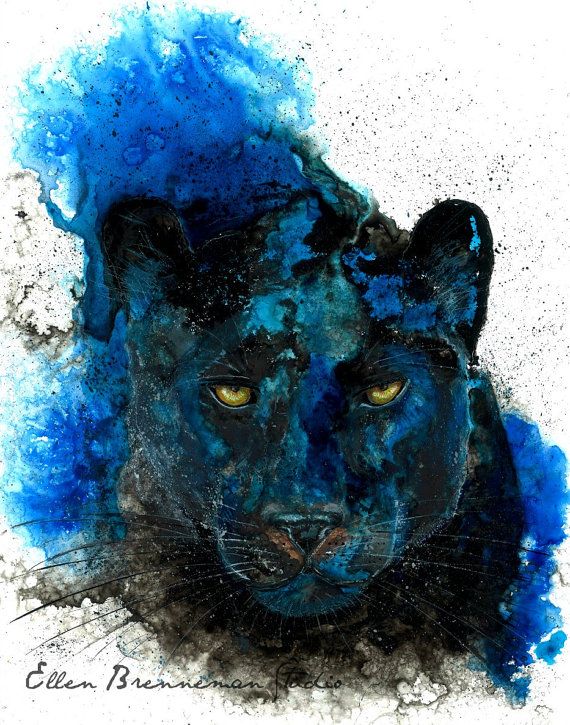 570x725 Panther Wall Art 165 Best Black Panthers Images