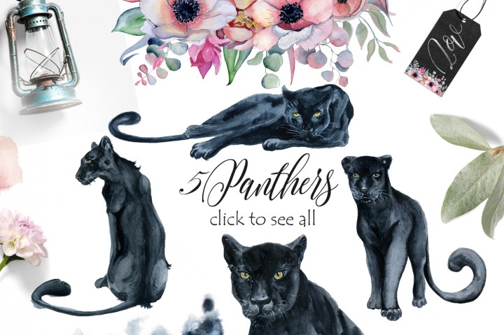 720x479 Panthers, Moons, Flowers Watercolor Clipart By Evgeniiasart