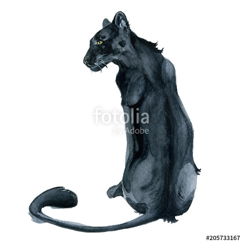 500x500 Watercolor Black Panther Wiledlife Illustration Stock Photo And