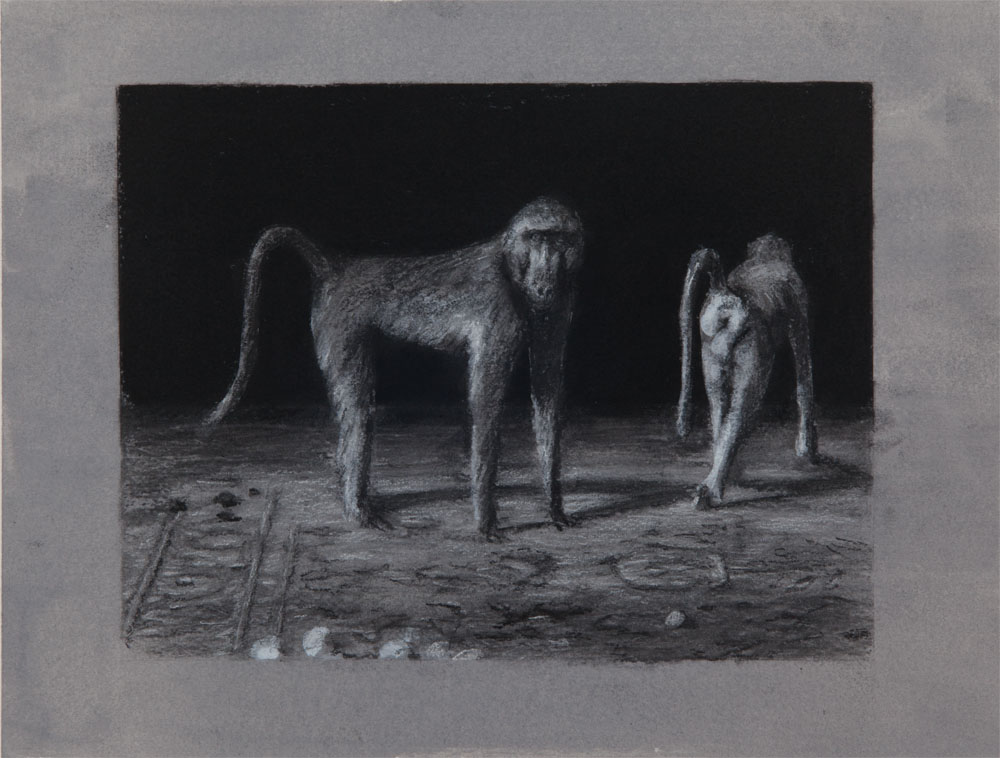 1000x758 Miguel Branco 2013