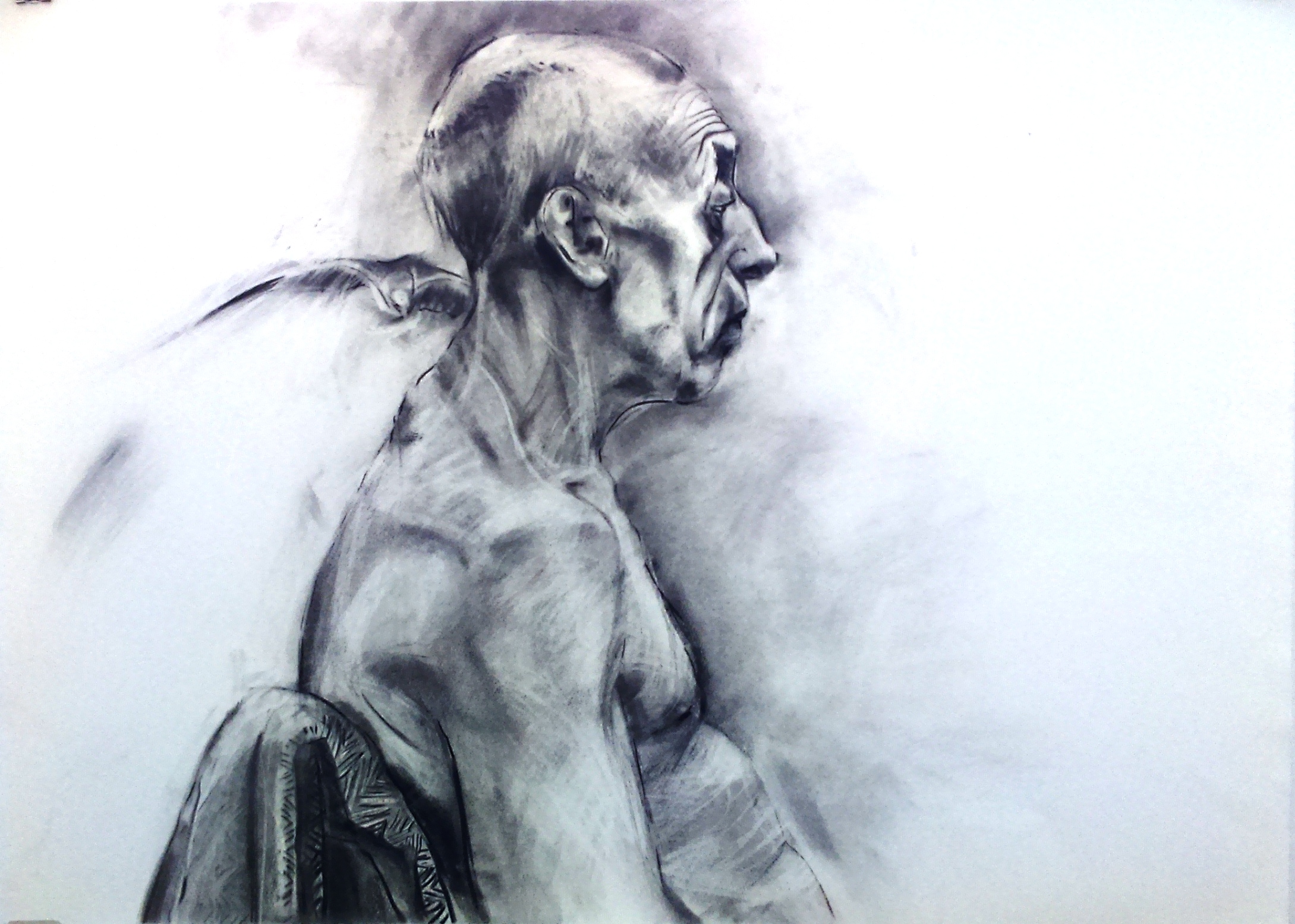 2179x1555 The Seagull, Charcoal On Watercolour Paper, 2016