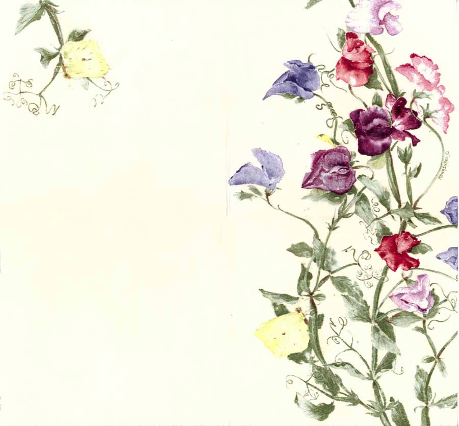 900x835 Decoupage Paper Napkins Of Wild Sweet Peas In Watercolor