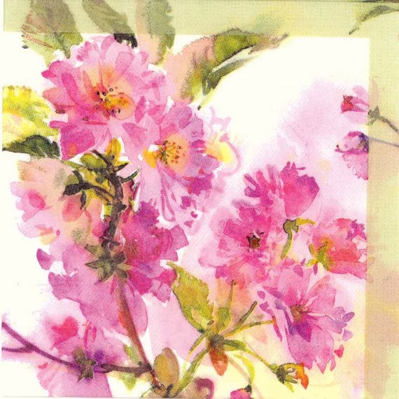 570x570 4 Decoupage Napkins Watercolor Of Spring Cherry Blossoms