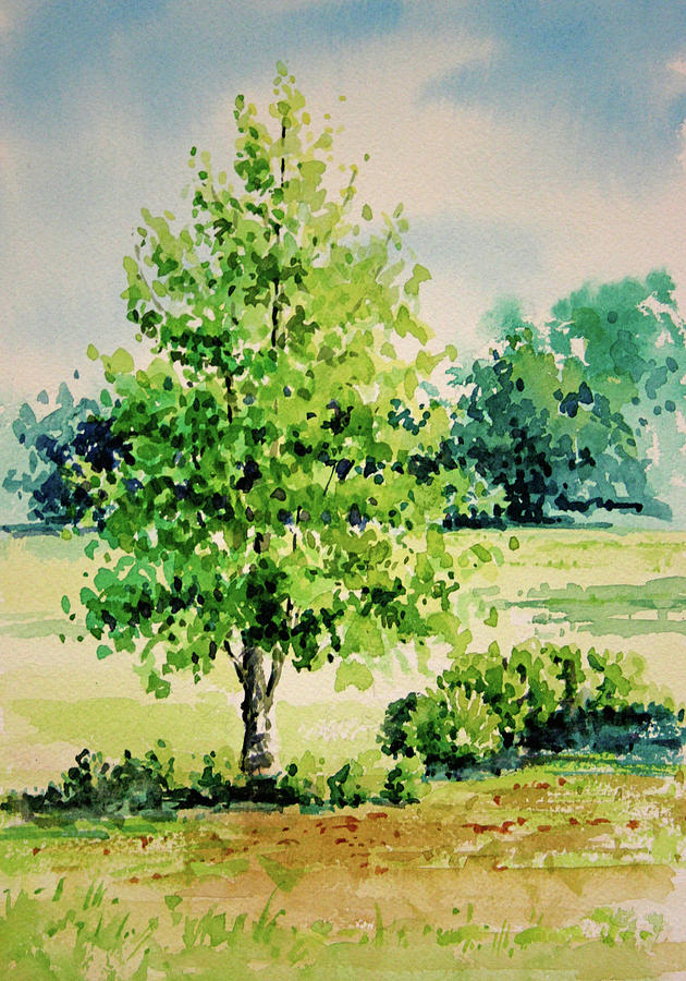 630x900 Shalom Park Watercolor Painting By Linda Eades Blackburn