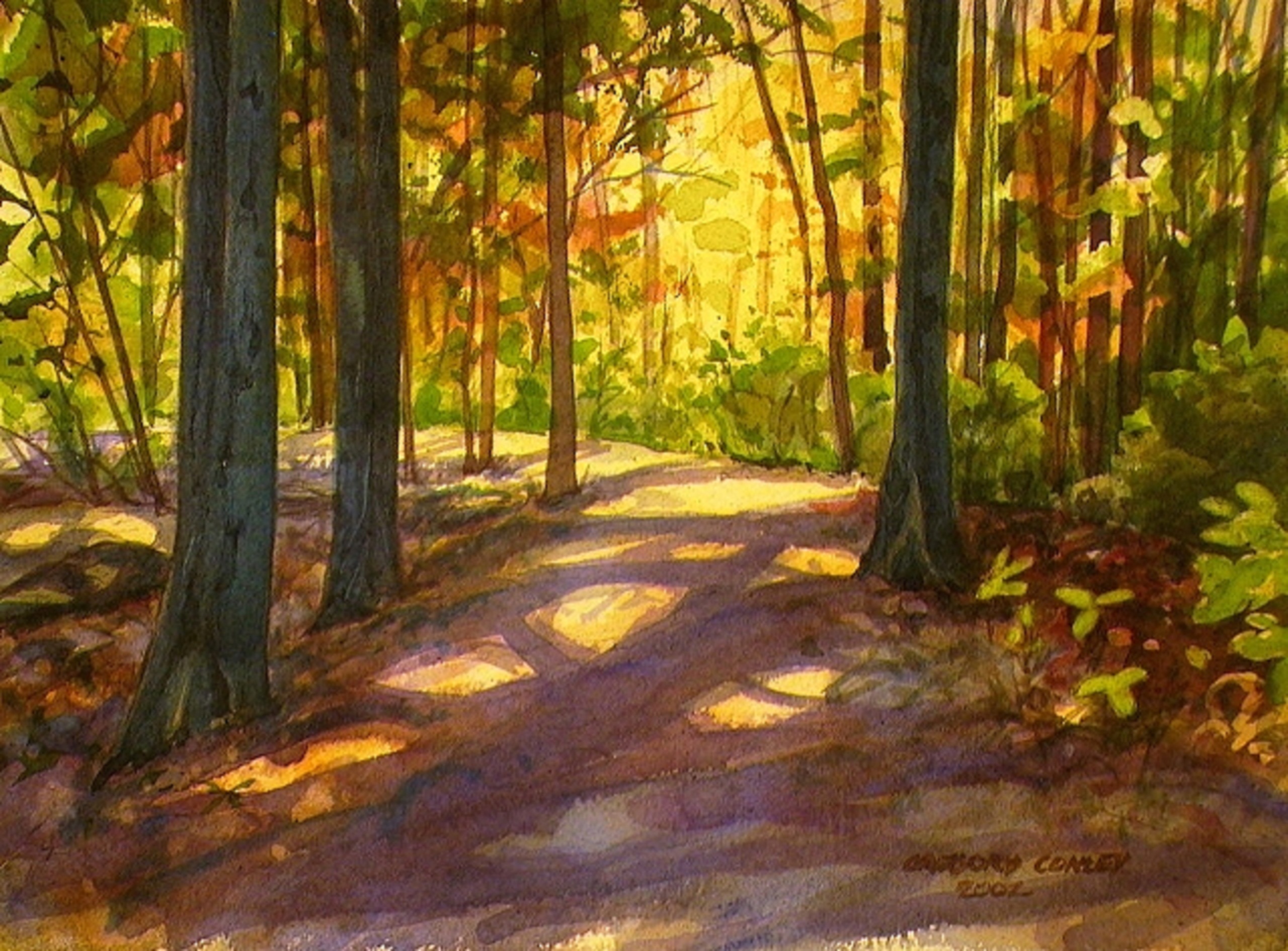 2560x1892 How To Paint Watercolors