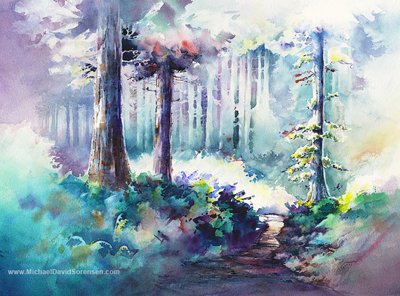 570x421 Watercolor Tree Paintings. Pathway To Neahkahnie By Michael