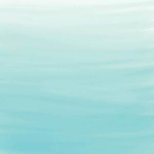 300x300 Silhouette Design Store