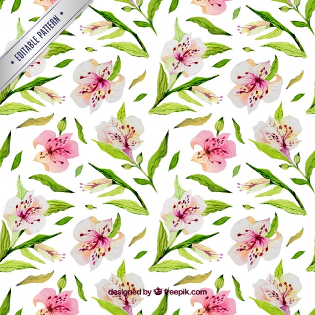 626x626 Watercolor Floral Pattern Vector Free Download