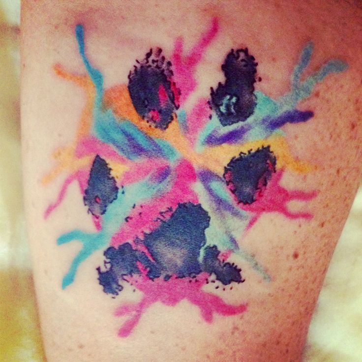 736x736 Collection Of Sensational Watercolor Paw Print Tattoo