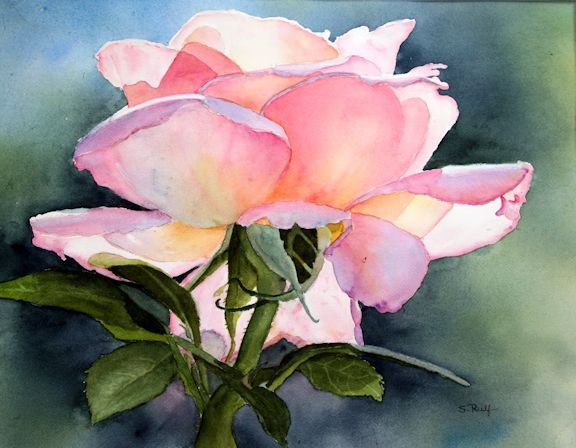 576x448 Watercolor Peace Rose