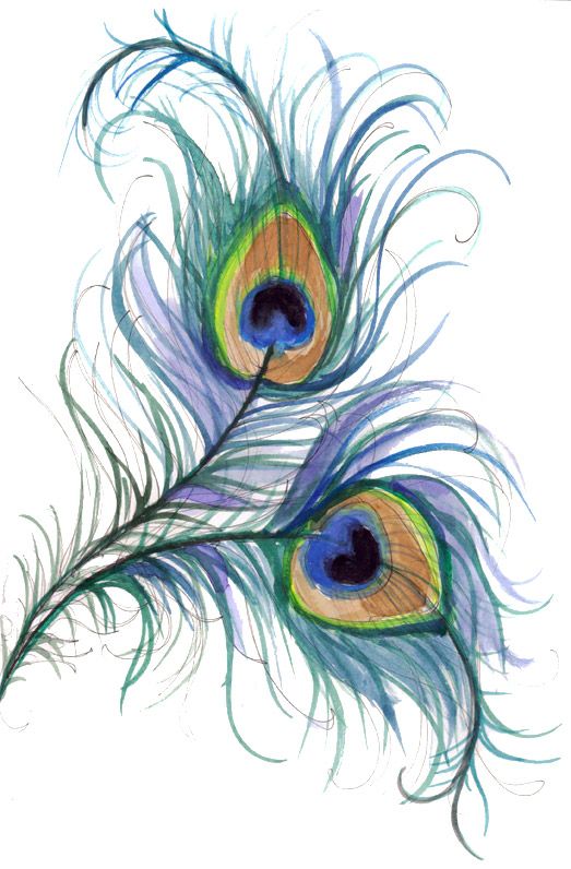 523x796 Pin By Diana Azzato On ~peacock Paradise~ Peacocks