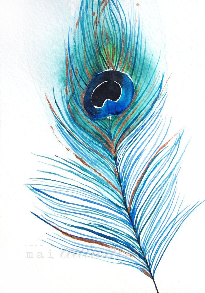 700x1001 Watercolour Peacock Feather Peacocks Watercolor