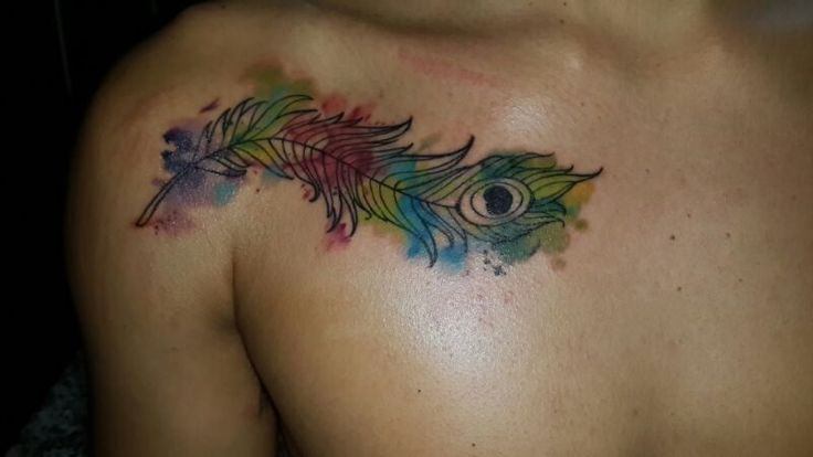 736x414 Watercolor Tattoos Peacock Ideas