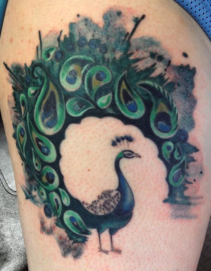 736x947 Watercolor Peacock Tattoo Back