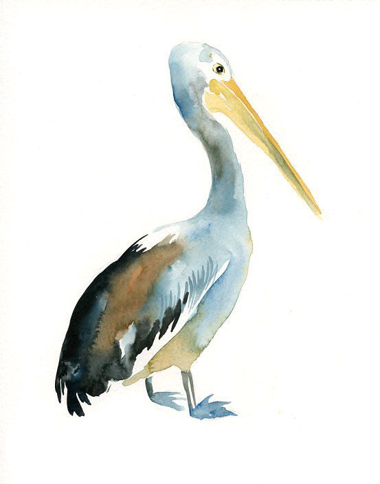 553x704 Pelican Original Watercolor Painting 8x10inch (Vertical