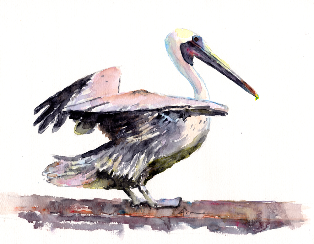 1000x777 Pelican Landing Watercolor Painting