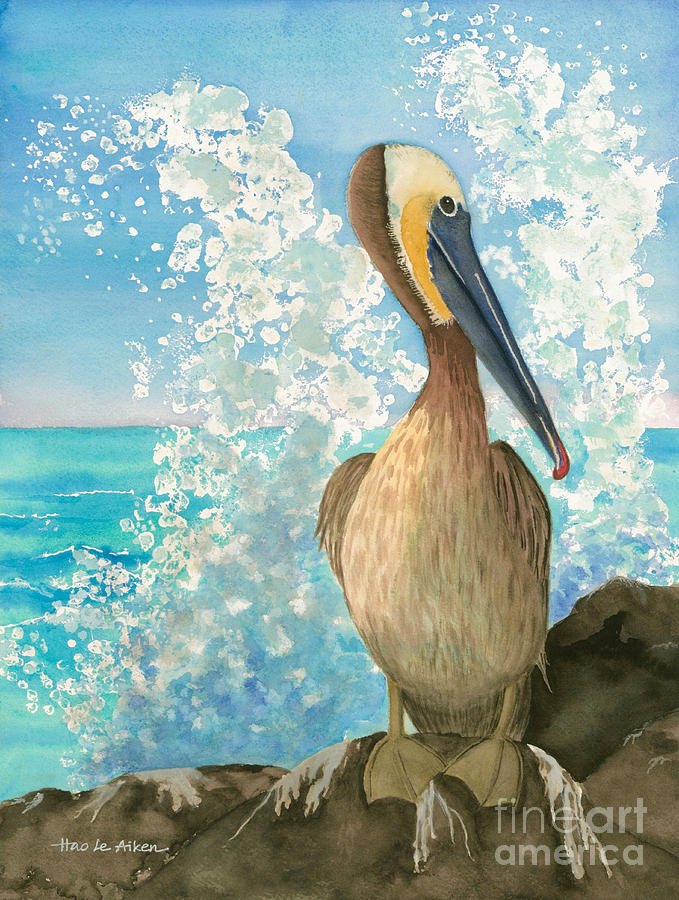 679x900 Pelican On The Rocks