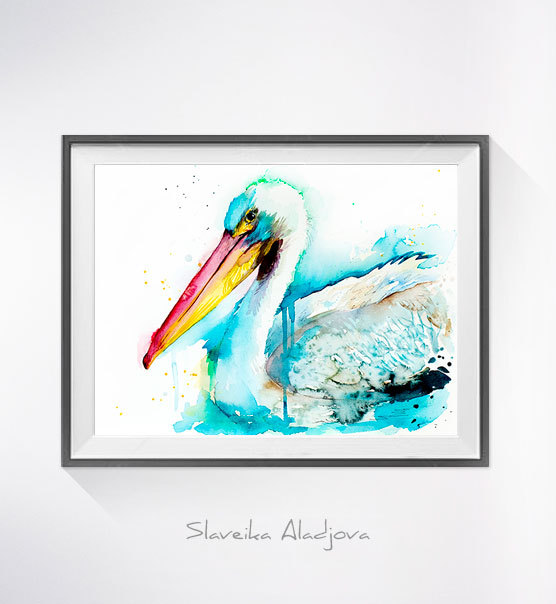556x604 American White Pelican Watercolor Painting Print,