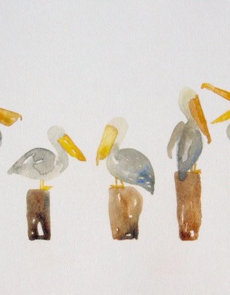 800x1024 Watercolor Pelican Print