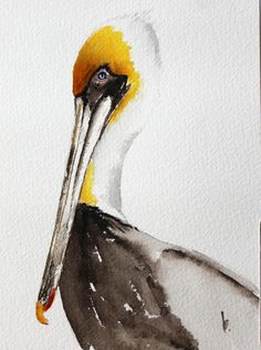 236x316 Original Bird Painting Bird Art Pelican Watercolor Painting By