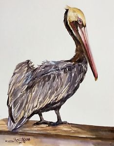 234x300 Brown Pelican Sitting On The Branch,sea Bird,ocean,original