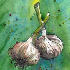 236x236 Frog Original Watercolor Pen And Ink Square Painting Frog Toad