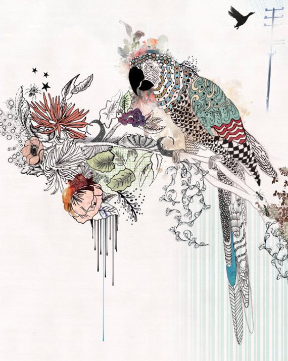 570x715 Pictures Pen And Ink Drawings With Watercolor,