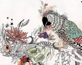 341x270 Bird Artwork Print Of Original Ink Drawing Watercolor