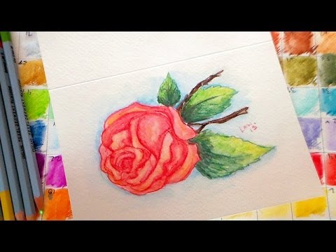 480x360 Vintage Rose Watercolor Pencil Tutorial