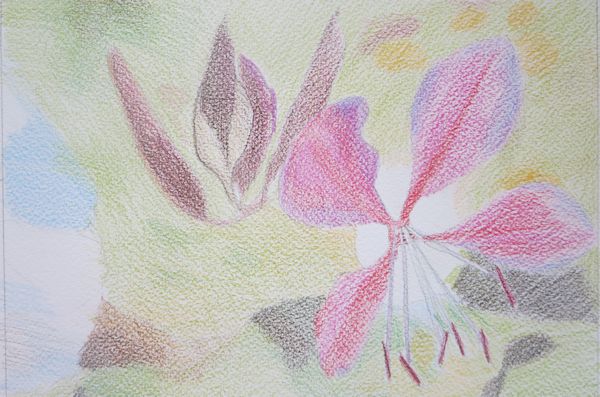 600x397 Sharpen Your Painting Skills With 4 Watercolor Pencil Techniques