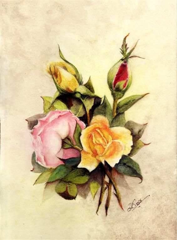 565x768 Water Color Pencil Roses Tutorial