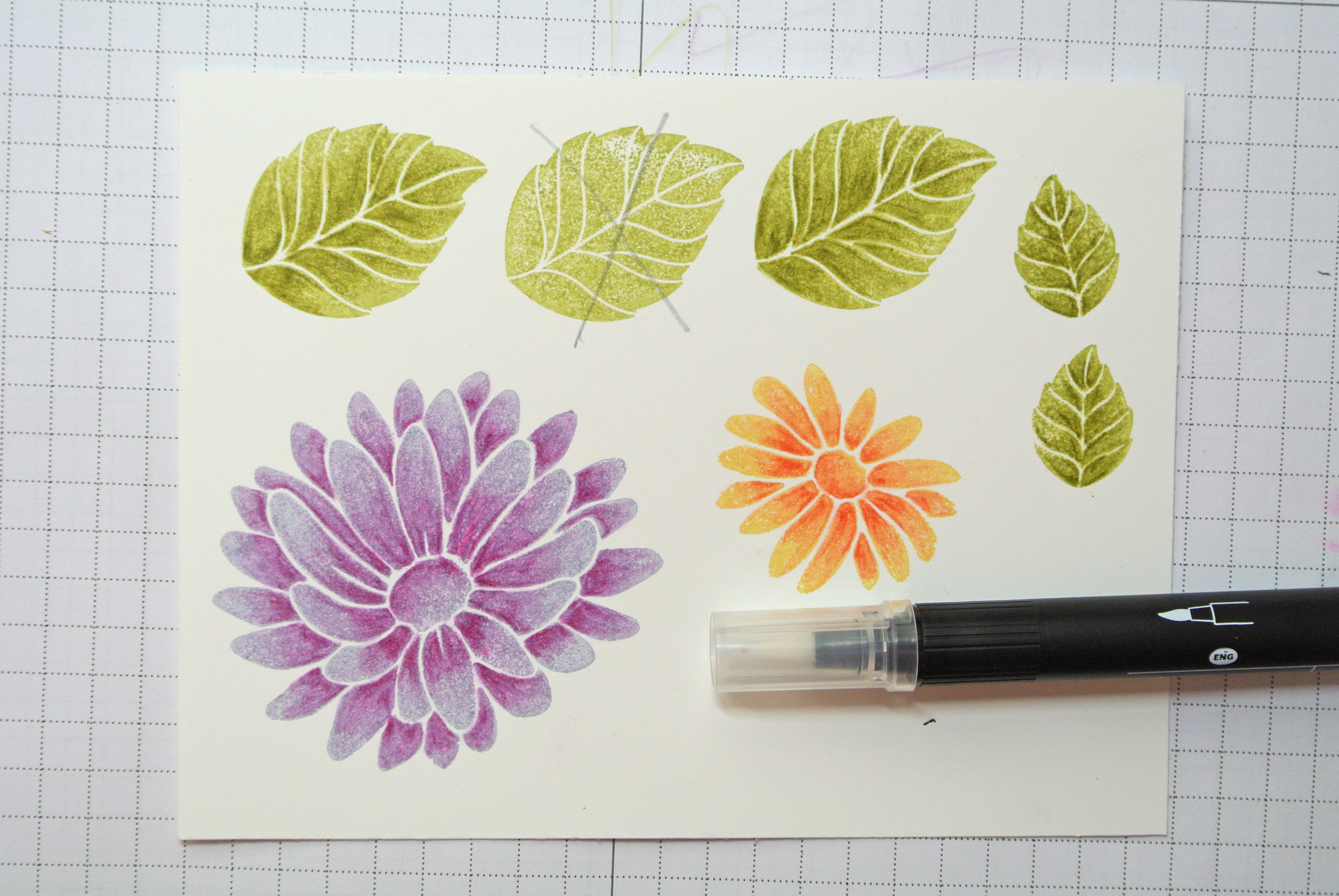 3872x2592 Watercolor Pencil Technique Swimming In Stamps