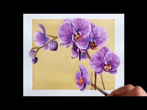 480x360 Watercolor Pencil Techniques How To Paint Flowers