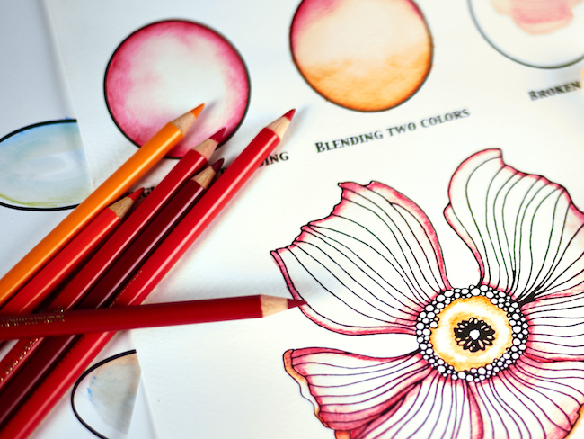 650x488 Sharpen Your Painting Skills With 4 Watercolor Pencil Techniques