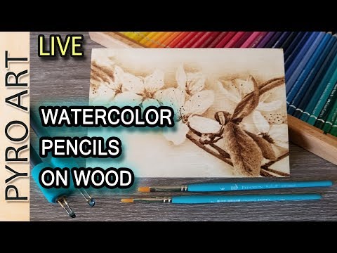 480x360 Pyrography How To Use Watercolor Pencils On Wood Burning