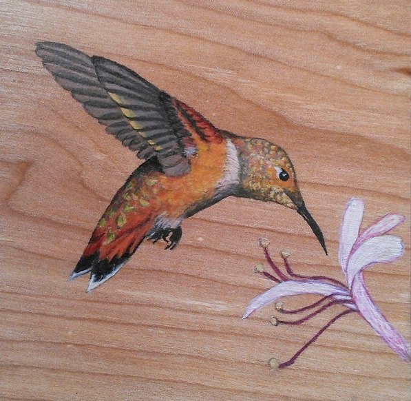 597x582 Wild Elements