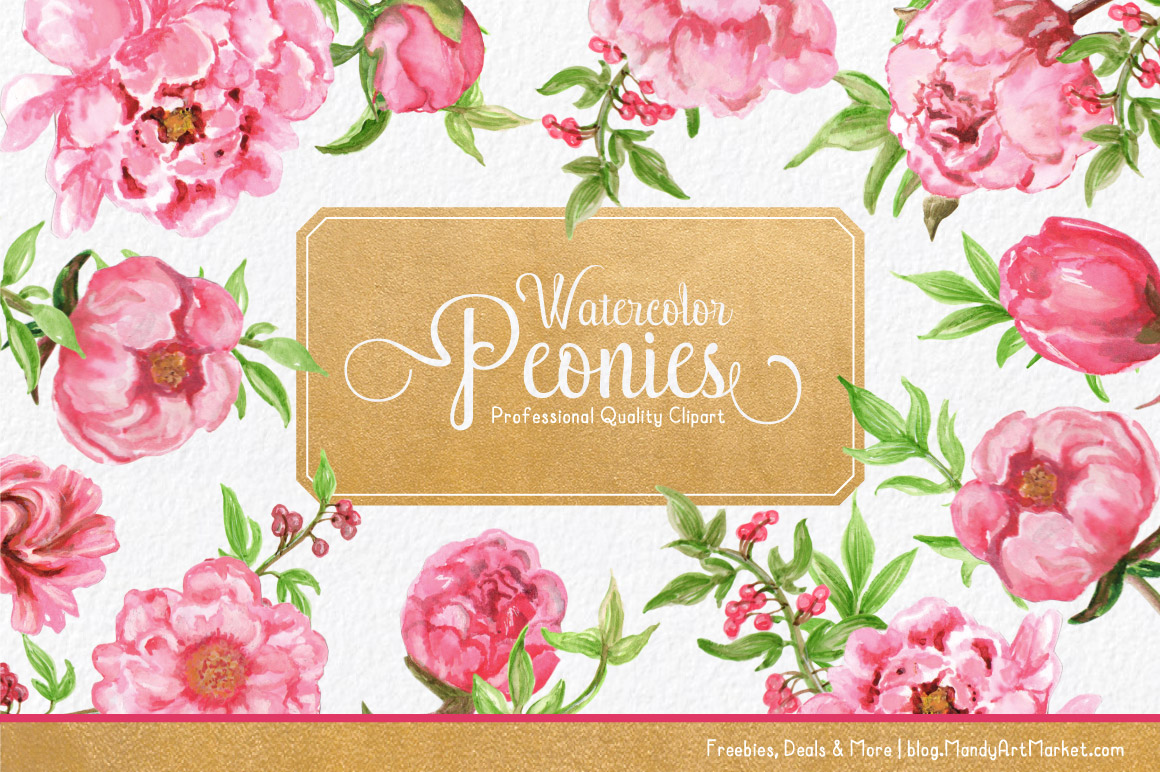 1160x772 Watercolor Peonies Clipart
