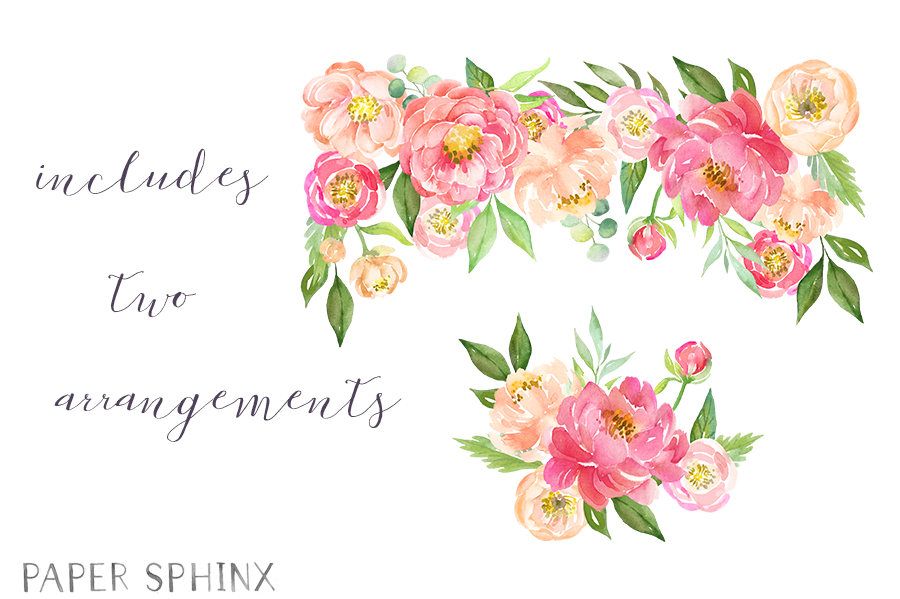 900x599 Watercolor Peonies Clipart Spring Wedding Flowers