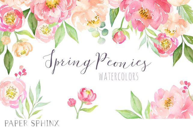 642x427 Watercolor Peonies Clipart Spring Wedding Flowers Coral Etsy