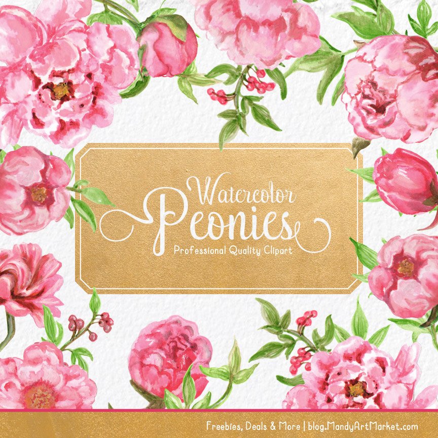 864x864 Watercolor Peonies Clipart Watercolour Peonies Watercolor Etsy