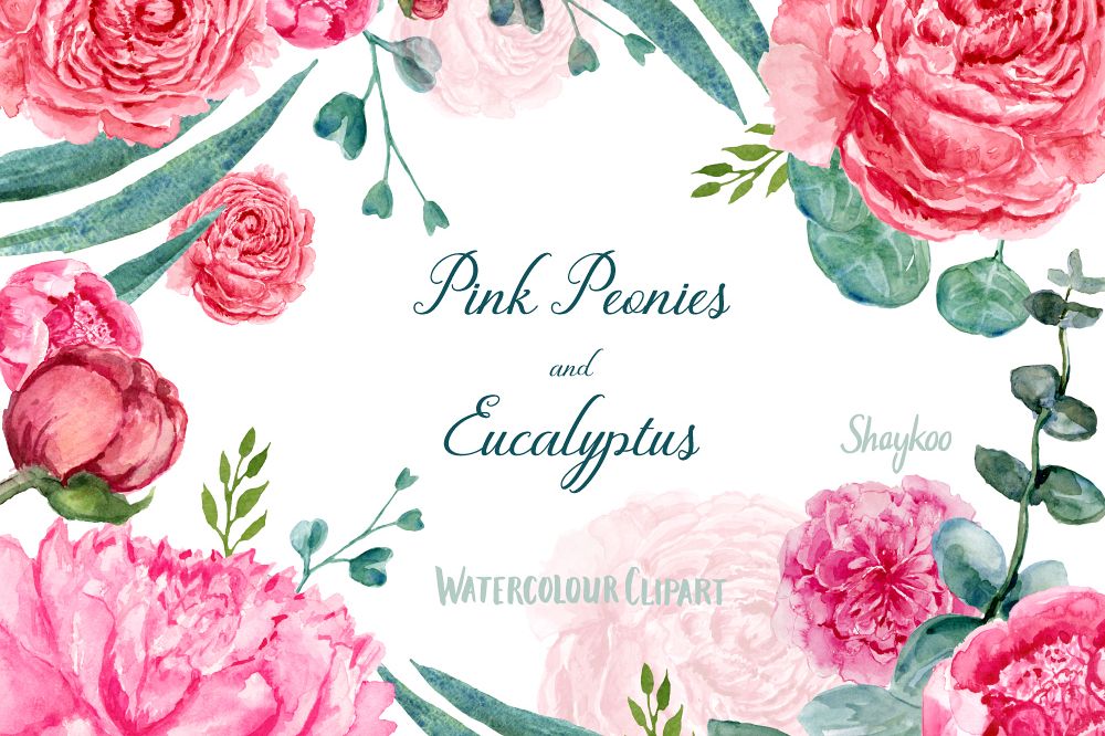 1000x666 Watercolor Peonies And Eucalyptus Clipart, Hand Painted Watercolor