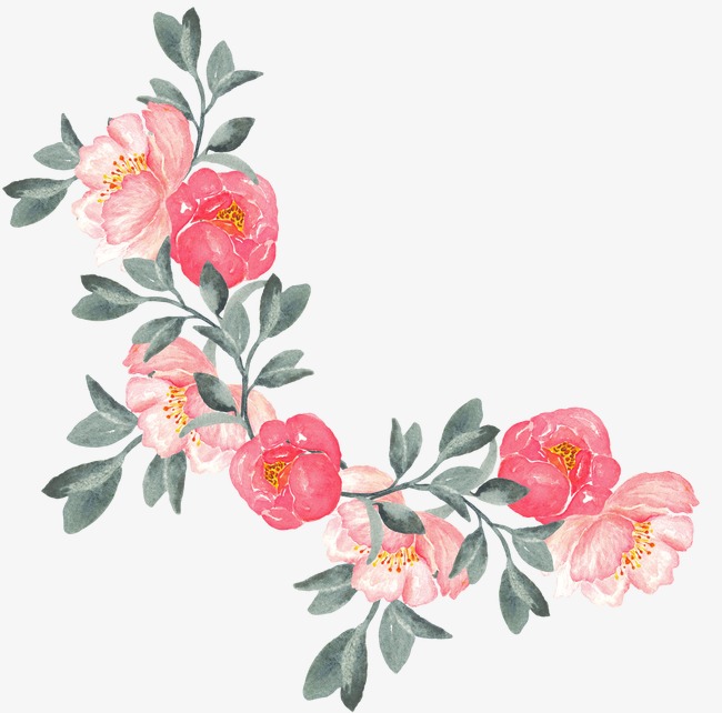 650x642 Watercolor Peony, Watercolor Clipart, Hand Painted, Watercolor Png
