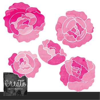 350x350 Watercolor Peony Clip Art By Create Clipart Teachers Pay Teachers