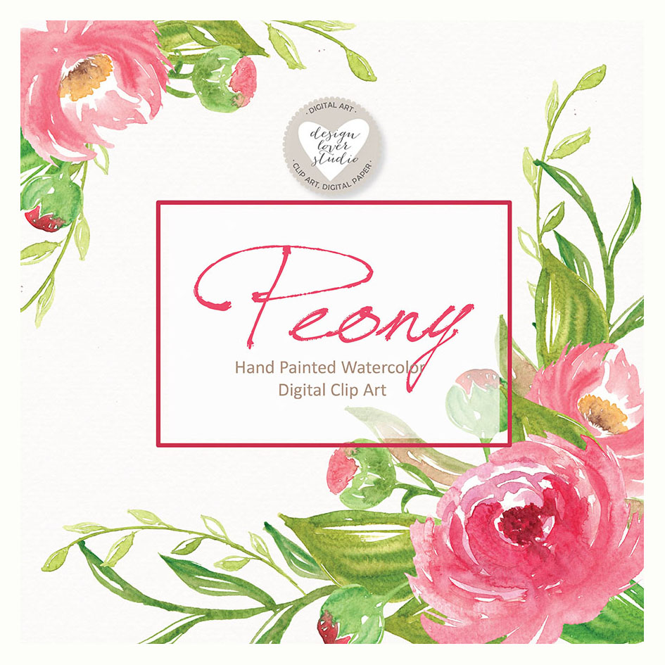 945x945 Watercolor Peony Clipart, Spring Flower Clipart, Pink Floral
