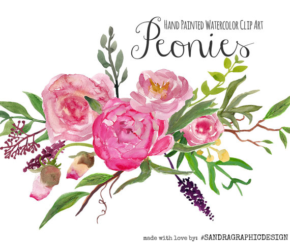 570x475 Floral Clip Art Peony Clip Art Hand Painted Watercolor Clip Art
