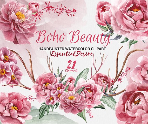 570x475 Peonies Clipart Watercolor Peony Hand Painted Clip Art Etsy