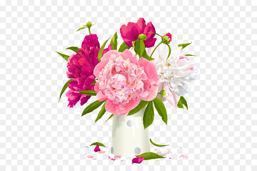 900x600 Peony Paeonia Lactiflora Flower Clip Art