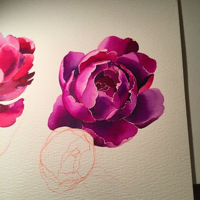 640x640 Crazy Saturday Night A Couple More Hours Into This Peonies