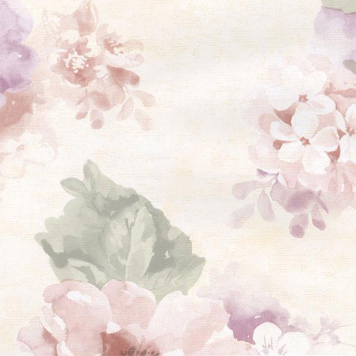 500x500 Peony Wallpaper